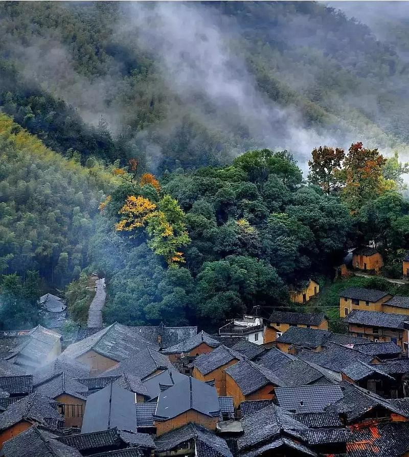 三小只僵尸的游戏时间9