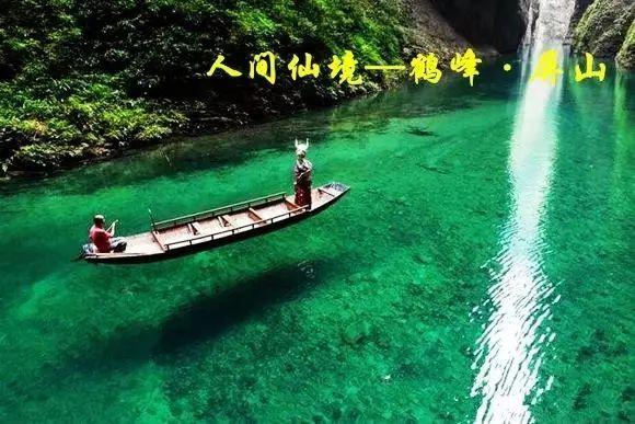 犀牛森林大逃生